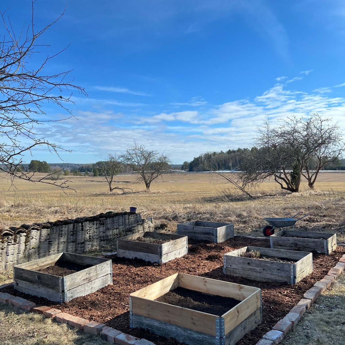 Kasvilavojen kasvojenkohotus