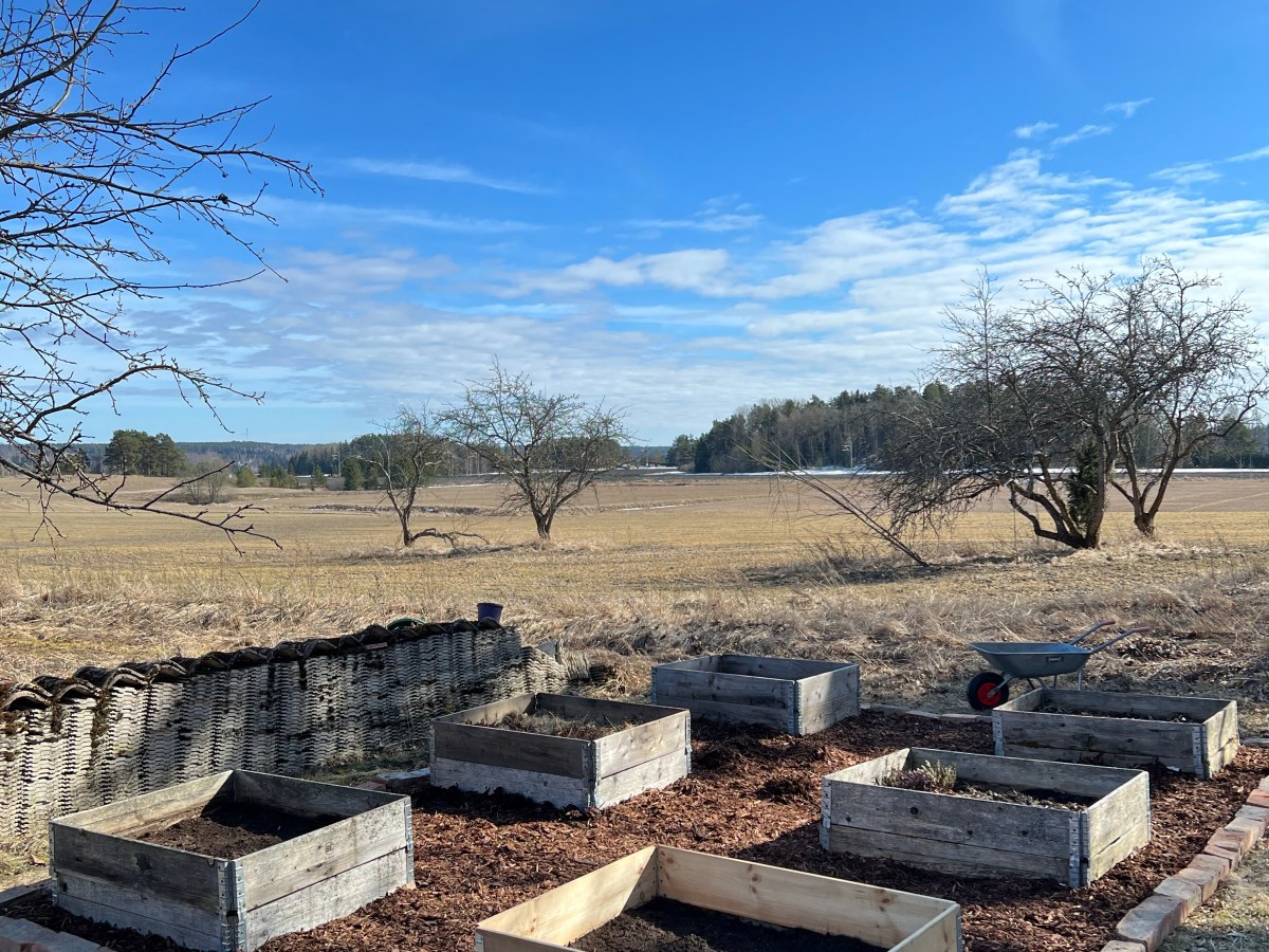 Kasvilavojen kasvojenkohotus