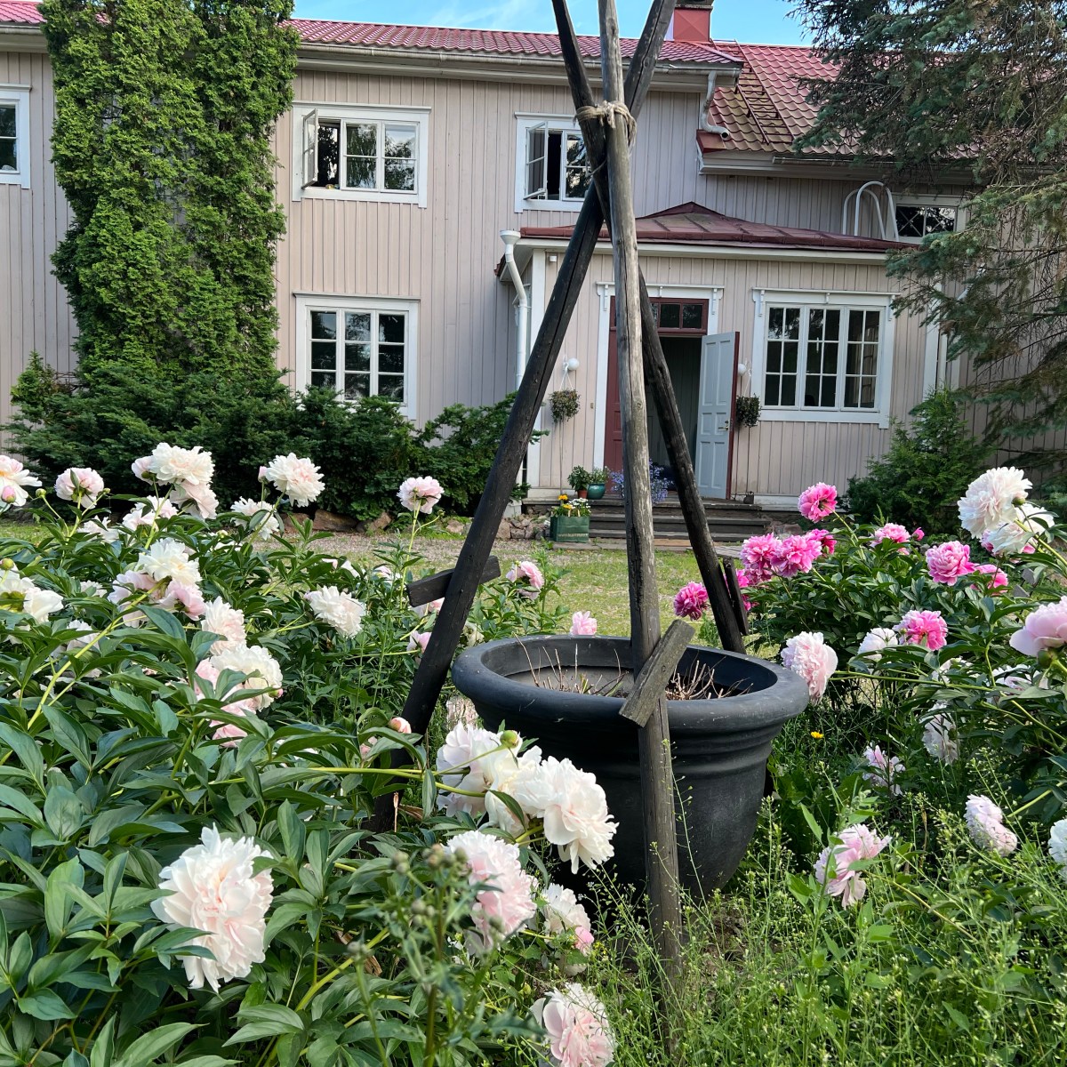 Talo airbnb vuokralle